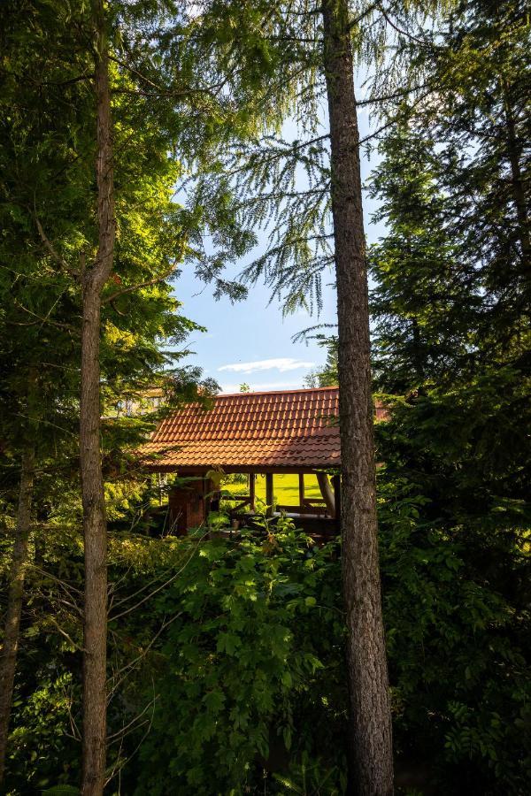 Uroczysko Villa Lesko Dış mekan fotoğraf