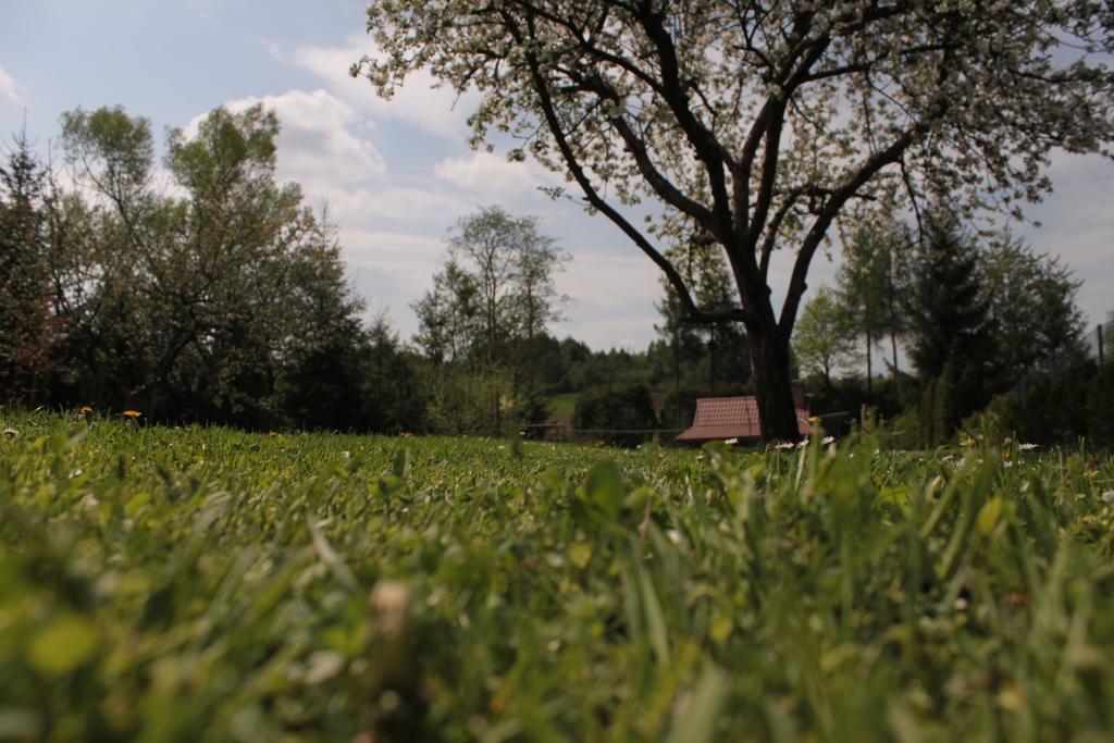 Uroczysko Villa Lesko Dış mekan fotoğraf