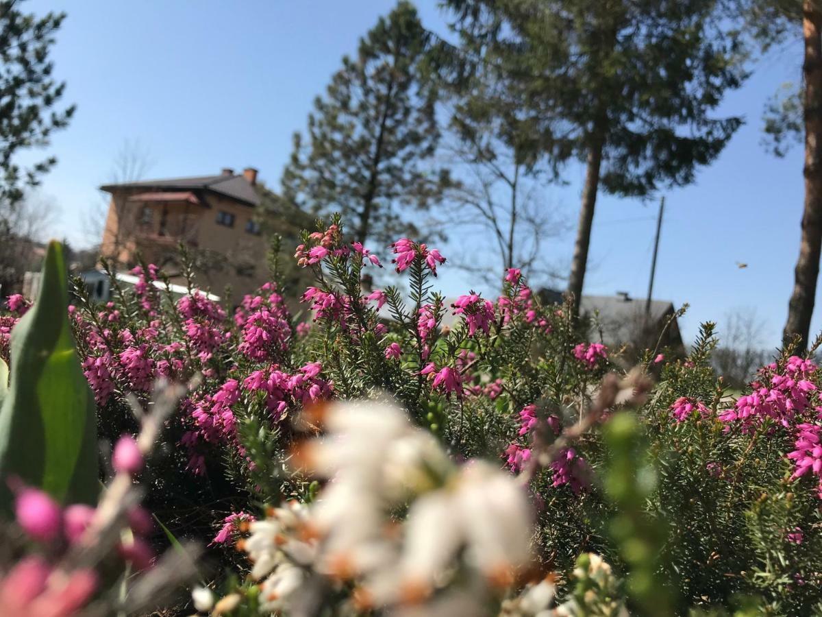 Uroczysko Villa Lesko Dış mekan fotoğraf